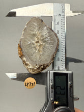 Load image into Gallery viewer, Natural Laguna Agate Collector Mineral Specimen | Chihuahua, Mexico