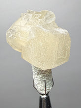 Load image into Gallery viewer, Rare Druzy Golden “Diamond” Calcite on Zeolite Matrix — Maharashtra, India | Collector Cabinet Specimen