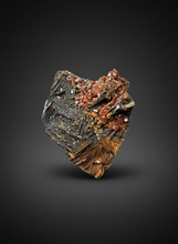 Load image into Gallery viewer, Natural Vanadinite on Matrix | Collector Mineral Specimen | Morocco