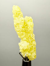 Load image into Gallery viewer, Vibrant Yellow Brucite Thumbnail Mineral Specimen | Collector Crystal from Killa Saifullah District in Balochistan Province, Pakistan