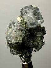 Load image into Gallery viewer, Cubic Fluorite Crystal Thumbnail Specimen | Chashan Mine, Chenzhou, Hunan, China | Collector Mineral Display