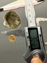 Load image into Gallery viewer, Bivalve (Pelecypoda) Fossil Sea Shell with Chalcopyrite | Mineralized Fossil Specimen | Indonesia