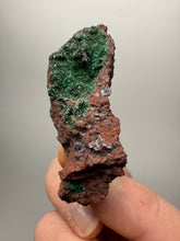Load image into Gallery viewer, Brochantite Collector Mineral Specimen – Vivid Green Copper Crystals from Morocco