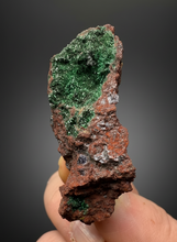 Load image into Gallery viewer, Brochantite Collector Mineral Specimen – Vivid Green Copper Crystals from Morocco