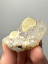 Load image into Gallery viewer, Rare Botryoidal Yellow Fluorite on Quartz Matrix Collector Mineral Specimen – Maharashtra, India