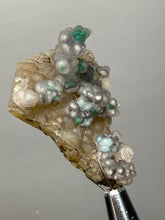 Load image into Gallery viewer, Blue-Green Chrysocolla in Botryoidal Chalcedony Cabinet Specimen | Indonesia