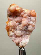 Load image into Gallery viewer, “Goblin Chalcedony” Pink & Orange Druzy Botryoidal Stalactites— Tichka Massif, High Atlas, Morocco