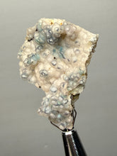 Load image into Gallery viewer, Blue-Green Chrysocolla in Botryoidal Chalcedony Cabinet Specimen | Indonesia