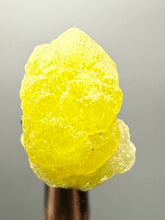 Load image into Gallery viewer, Vibrant Yellow Brucite Thumbnail Mineral Specimen | Collector Crystal from Killa Saifullah District in Balochistan Province, Pakistan