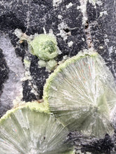 Load image into Gallery viewer, High-Grade Green Wavellite Collectors Specimen - Radiating Botryoidal Crystal Formation - Arkansas, USA