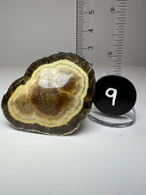 Load image into Gallery viewer, BARITE, MARCASITE Polished Free Form • Lubin Mine, KGHM, Lubin District, Legnica, Lower Silesial, Poland