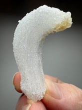 Load image into Gallery viewer, RARE COMBO Moroccan Ram’s Horn Selenite (Gypsum) with Yellow Botryoidal Fluorite Display Specimen
