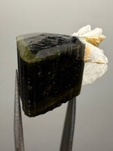 Load image into Gallery viewer, Green Cap Stak Nala Tourmaline with Cleavelandite – Haramosh Mountains, Pakistan | Thumbnail Specimen