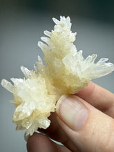Load image into Gallery viewer, High-Grade Coral Aragonite Crystal Specimen – Wenshan Mine, Yunnan, China