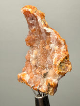 Load image into Gallery viewer, Sunset Goblin Chalcedony Botryoidal Stalactite | Sidi Rahal, Morocco (Western Sahara) Mineral Display Specimen