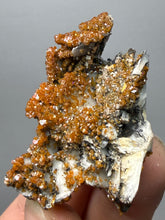 Load image into Gallery viewer, Natural Vanadinite on Matrix | Collector Mineral Specimen | Morocco