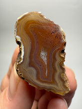 Load image into Gallery viewer, Polished Malawi Dendritic Agate Half – High-Grade African Banded Agate Display Specimen