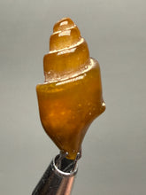 Load image into Gallery viewer, Agatized Gastropod Fossil Specimen | Morocco