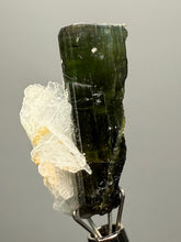 Load image into Gallery viewer, Green Cap Stak Nala Tourmaline with Cleavelandite – Haramosh Mountains, Pakistan | Thumbnail Specimen
