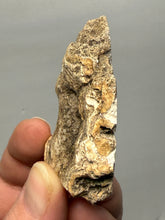 Load image into Gallery viewer, Premium Sumatra Agate (Banded Chalcedony) Display Specimen | Indonesia