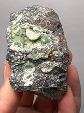 Load image into Gallery viewer, High-Grade Green Wavellite Collectors Specimen - Radiating Botryoidal Crystal Formation - Arkansas, USA