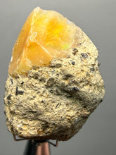 Load image into Gallery viewer, Precious Opal with Color Play | Welo, Ethiopia