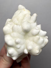 Load image into Gallery viewer, Superb White Flos Ferri Aragonite “Flower of Iron” Mineral Specimen | Lom Vitošov, Czech Republic