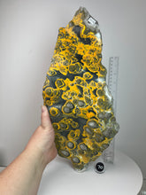 Load image into Gallery viewer, Bumblebee Jasper Agate Free Form • from West Java, Indonesia • AAA High Grade