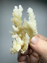 Load image into Gallery viewer, High-Grade Coral Aragonite Crystal Specimen – Wenshan Mine, Yunnan, China