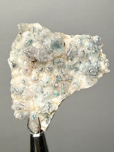 Load image into Gallery viewer, Blue-Green Chrysocolla in Botryoidal Chalcedony Cabinet Specimen | Indonesia