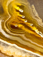Load image into Gallery viewer, Premium Sumatra Agate (Banded Chalcedony) Display Specimen | Indonesia