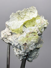 Load image into Gallery viewer, Vibrant Yellow Brucite Thumbnail Mineral Specimen | Collector Crystal from Killa Saifullah District in Balochistan Province, Pakistan