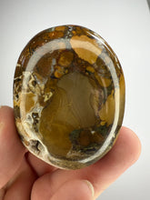 Load image into Gallery viewer, Cobra Jasper Palm Stone from India • High Grade