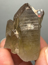 Load image into Gallery viewer, Smoky Quartz Crystal Specimen | Natural Collector Mineral – Brazil