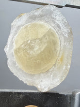 Load image into Gallery viewer, Rare Botryoidal Yellow Fluorite on Quartz Matrix Collector Mineral Specimen – Maharashtra, India