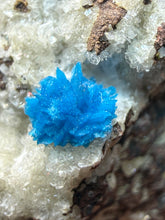 Load image into Gallery viewer, Rare Electric Blue Pentagonite on Druzy Matrix – Collector Mineral Specimen | India