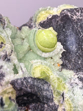 Load image into Gallery viewer, High-Grade Green Wavellite Collectors Specimen - Radiating Botryoidal Crystal Formation - Arkansas, USA