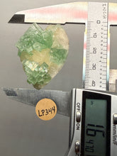 Load image into Gallery viewer, Green Radial “Disco Ball” Apophyllite | Maharashtra, India