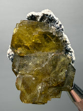 Load image into Gallery viewer, Vibrant Yellow Barite | Collector Display Specimen | Taourirt Mine, Morocco