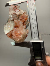 Load image into Gallery viewer, Rare Red + Green Apophyllite Crystal Cluster – High Grade Collector Mineral Specimen | India
