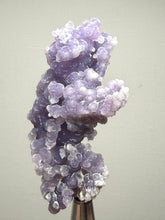 Load image into Gallery viewer, Indonesian Grape Agate (Botryoidal Purple Chalcedony) Display Specimen | Mamuju, West Sulawesi, Indonesia