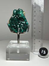 Load image into Gallery viewer, Dioptase Cluster from Congo • High Grade • Mineral Collector’s Specimen Showpiece
