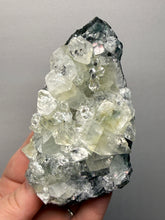 Load image into Gallery viewer, High-Grade Green Apophyllite on Black Chalcedony – Deccan Traps, Maharashtra, India (Collector Cabinet Specimen)