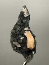 Load image into Gallery viewer, Pink Stilbite Druzy on Botryoidal Black Chalcedony | India | High-Grade Mineral Collector Specimen