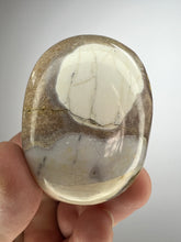 Load image into Gallery viewer, Cobra Jasper Palm Stone from India • High Grade