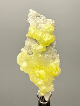 Load image into Gallery viewer, Vibrant Yellow Brucite Thumbnail Mineral Specimen | Collector Crystal from Killa Saifullah District in Balochistan Province, Pakistan