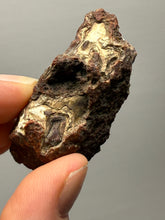 Load image into Gallery viewer, Premium Sumatra Agate Pair (Banded Chalcedony) Display Specimen | Indonesia