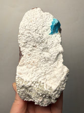 Load image into Gallery viewer, Rare Electric Blue Cavansite on Druzy Matrix – Collector Mineral Specimen | India