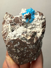 Load image into Gallery viewer, Rare Electric Blue Cavansite on Druzy Matrix – Collector Mineral Specimen | India