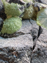 Load image into Gallery viewer, High-Grade Green Wavellite Collectors Specimen - Radiating Botryoidal Crystal Formation - Arkansas, USA
